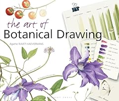 Art botanical drawing for sale  Delivered anywhere in UK