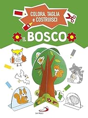 Bosco. colora taglia usato  Spedito ovunque in Italia 