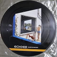 Echoes picture disc usato  Spedito ovunque in Italia 