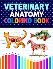 Veterinary anatomy coloring for sale  Delivered anywhere in USA 