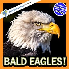 Bald eagles incredible d'occasion  Livré partout en France