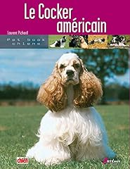 Cocker américain d'occasion  Livré partout en France