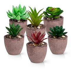 Pasch lot plantes d'occasion  Livré partout en Belgiqu