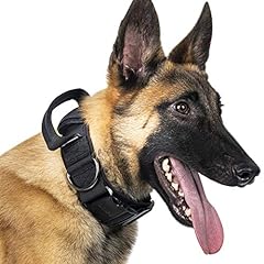 Netigris hunde halsband gebraucht kaufen  Wird an jeden Ort in Deutschland
