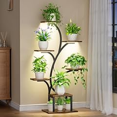 Bacekoll plant stand for sale  Delivered anywhere in USA 