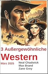 Außergewöhnliche western mä gebraucht kaufen  Wird an jeden Ort in Deutschland