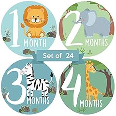 Baby monthly stickers for sale  Delivered anywhere in USA 