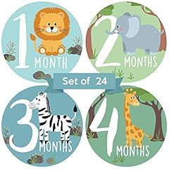 Baby monthly stickers for sale  Delivered anywhere in USA 
