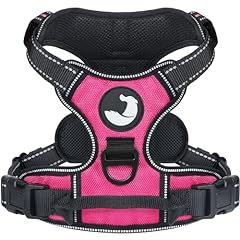 Joytale pull dog for sale  Delivered anywhere in USA 