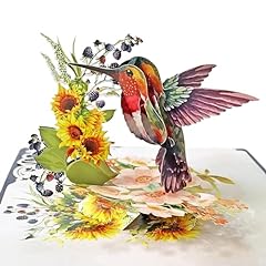 Cutpopup colibrì con usato  Spedito ovunque in Italia 