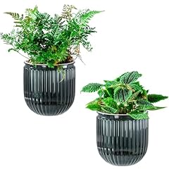 Melphoe self watering for sale  Delivered anywhere in USA 