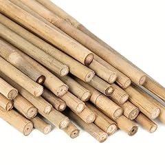 Lot cannes bambou d'occasion  Livré partout en France
