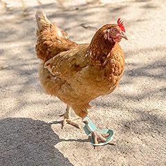 Pack chicken protective for sale  Delivered anywhere in USA 