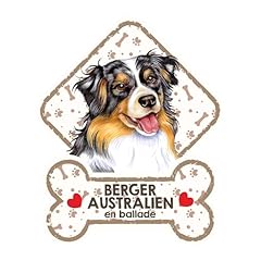 Berger australien panneau d'occasion  Livré partout en Belgiqu