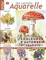 Carnets aquarelle couleurs d'occasion  Livré partout en France