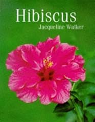 Hibiscus d'occasion  Livré partout en Belgiqu
