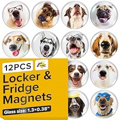 Super cute fridge for sale  Delivered anywhere in USA 