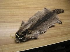 Tanned raccoon hide for sale  Delivered anywhere in USA 