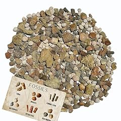 Fossil mix bulk for sale  Delivered anywhere in USA 