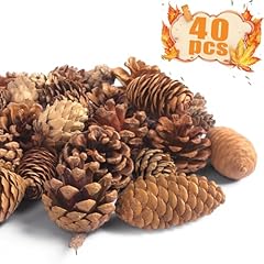 Johouse 40pcs natural for sale  Delivered anywhere in USA 