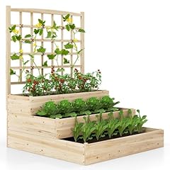 Cleeman tier raised for sale  Delivered anywhere in USA 