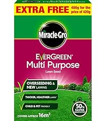 Grass seed 480g for sale  Delivered anywhere in UK