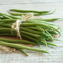Climbing french bean for sale  Delivered anywhere in UK