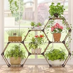 Allinside hexagonal plant for sale  Delivered anywhere in USA 
