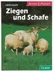 Ziegen schafe gebraucht kaufen  Wird an jeden Ort in Deutschland