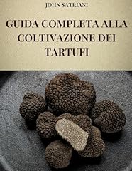 Guida completa alla usato  Spedito ovunque in Italia 