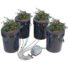 Vevor dwc hydroponics for sale  Delivered anywhere in USA 