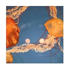 Trademark fine art for sale  Delivered anywhere in USA 