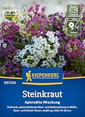 Kiepenkerl steinkrautsamen aph gebraucht kaufen  Wird an jeden Ort in Deutschland