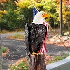 Chisheen bald eagle for sale  Delivered anywhere in USA 