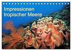 Impressionen tropischer meere gebraucht kaufen  Wird an jeden Ort in Deutschland