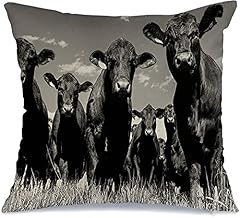 Starohou throw pillow for sale  Delivered anywhere in USA 