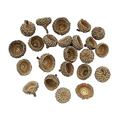 Queenbox 20pcs natural for sale  Delivered anywhere in USA 