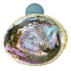 Nessastores abalone shell for sale  Delivered anywhere in Ireland