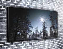 Forest night panoramic for sale  Delivered anywhere in UK