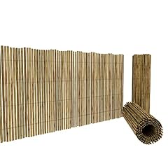 Arella canna bamboo usato  Spedito ovunque in Italia 