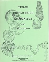 Texas cretaceous ammonites for sale  Delivered anywhere in USA 