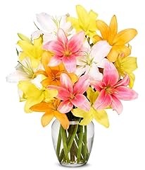 Flowers stunning lily for sale  Delivered anywhere in USA 
