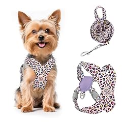 Pawaboo small dog for sale  Delivered anywhere in UK