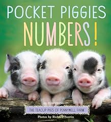 Pocket piggies numbers for sale  Delivered anywhere in USA 