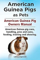 American guinea pigs for sale  Delivered anywhere in USA 