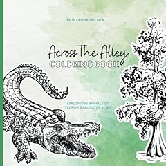 Florida everglades coloring for sale  Delivered anywhere in UK