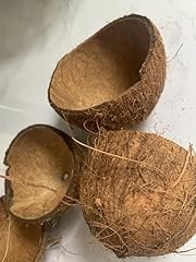 10x natural coconut for sale  Delivered anywhere in UK
