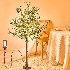 Fudios lighted olive for sale  Delivered anywhere in USA 