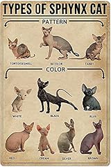 Sphyhx cat knowledge d'occasion  Livré partout en France