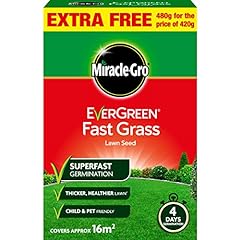 Miracle gro evergreen for sale  Delivered anywhere in UK